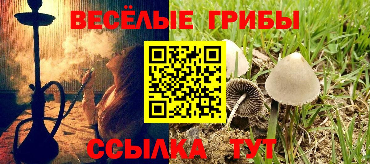 Галлюциногенные грибы мицелий  Галлюциногенные грибы мицелий  Вход с VPN  Зерноград 